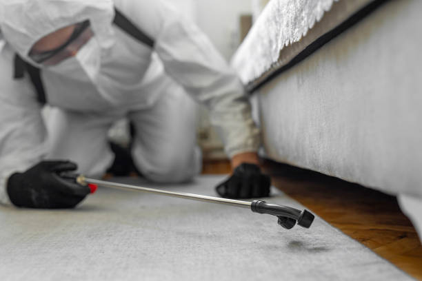 Professional Cockroach Control technician working in Medford, WI